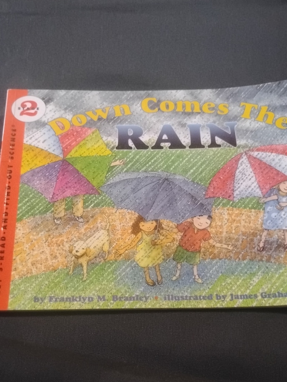 Down Comes The Rain